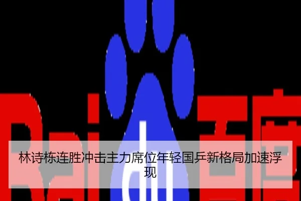 林诗栋连胜冲击主力席位年轻国乒新格局加速浮现