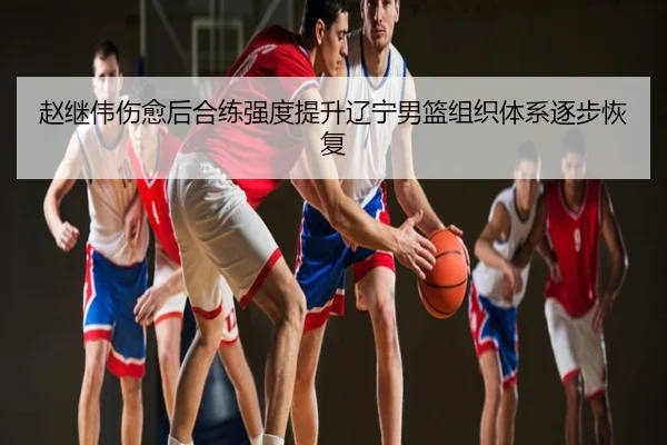 赵继伟伤愈后合练强度提升辽宁男篮组织体系逐步恢复
