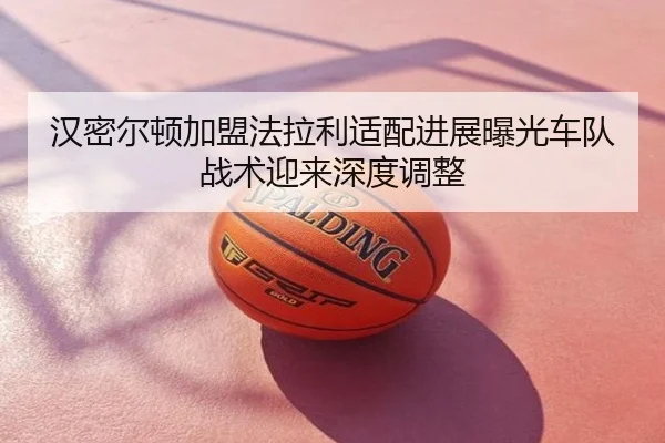 汉密尔顿加盟法拉利适配进展曝光车队战术迎来深度调整